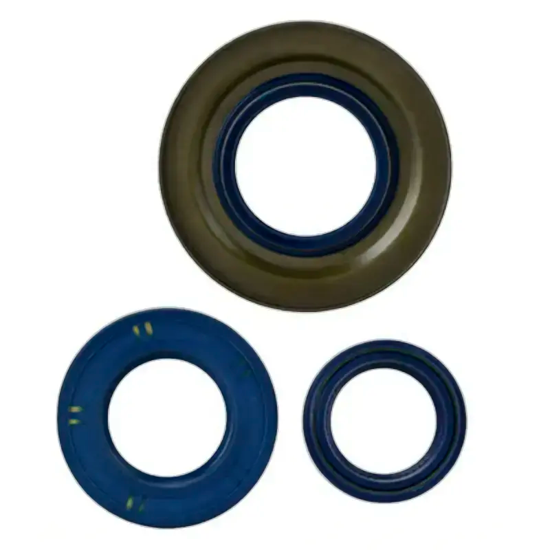 Kompletter Satz Dichtungsringe - Vespa PX125 / PX150 / P80 / P150 / P200 / GTR - 1548176