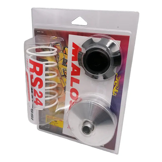 Variateur Malossi - Piaggio Zip / Vespa Sprint - 50cc - 4 Takt - 5111597