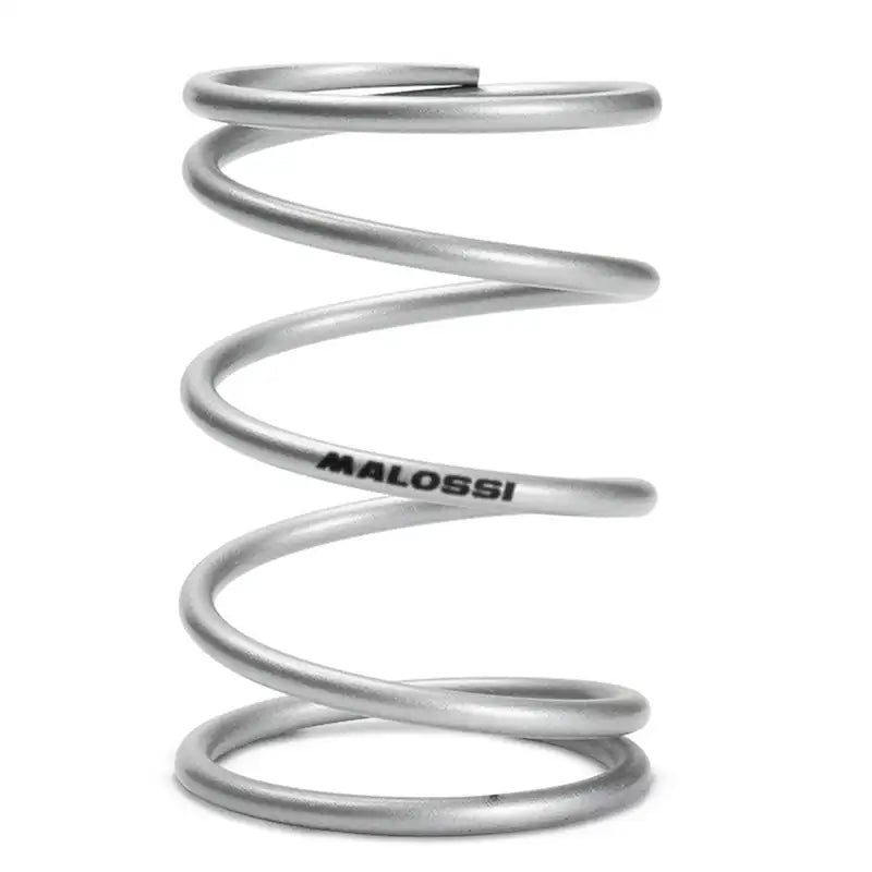 Malossi MHR - Drukveer Variateur - Sprint / Zip / Liberty / LX / Fly - Zilver - 2920042.E0