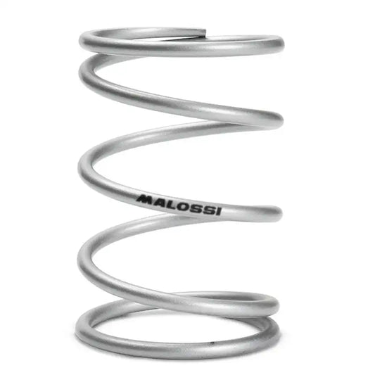 Malossi MHR - Drukveer Variateur - Sprint / Zip / Liberty / LX / Fly - Zilver - 2920042.E0