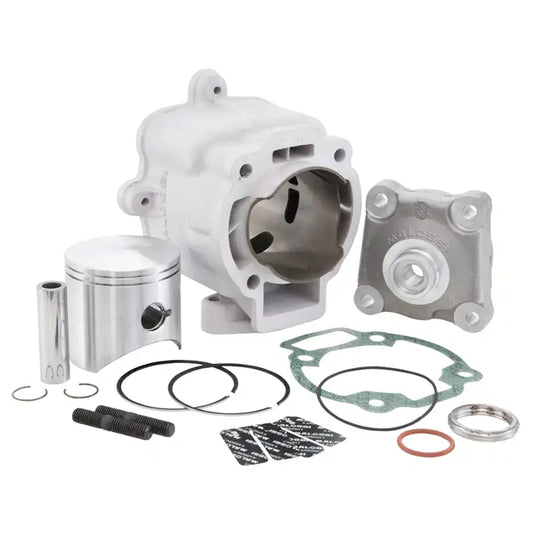 Malossi Cilinder - 172cc - Gilera Runner / Piaggio - 2T / 2-Takt - 65mm - 3111140