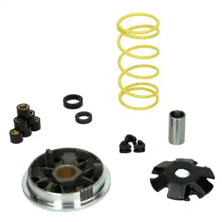 Malossi Variator - Aprilia / Suzuki - 50cc - 2-Stroke / 2T - 5111298