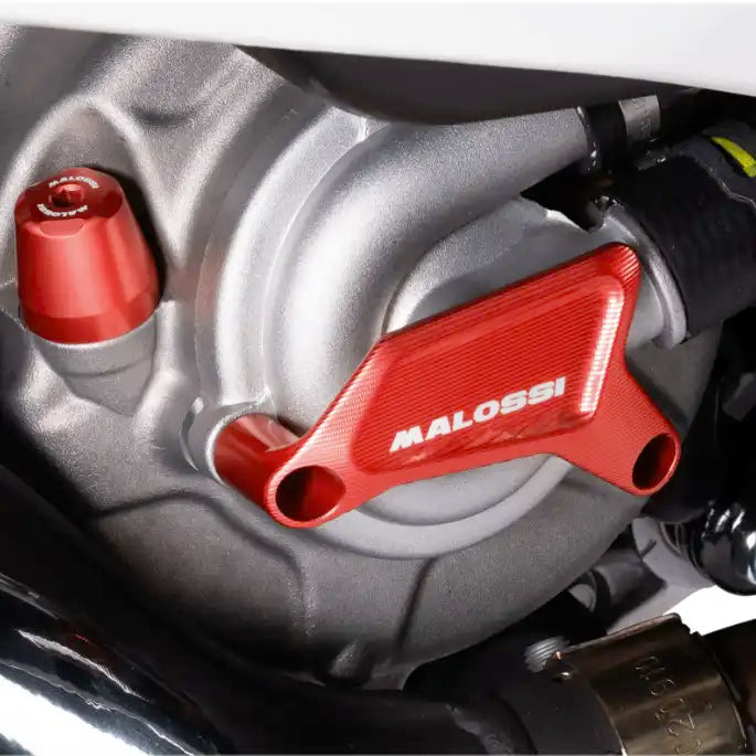 Malossi Waterpomp Beschermer - Vespa GTS / GTV / GT / MP3 / Runner - 125cc ~ 300cc - 8120494BR