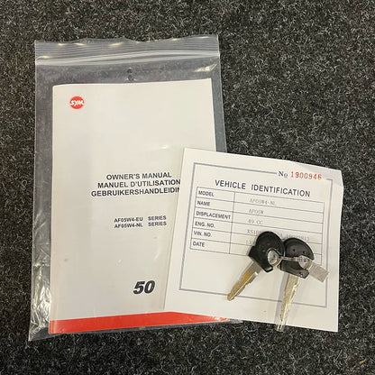 Sym Fiddle II - Snor - Euro4 - 2019 - Bordeaux Rood