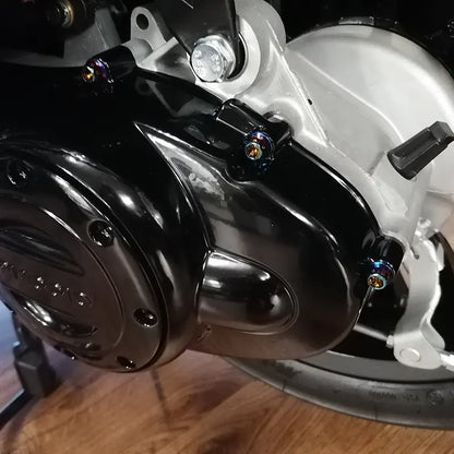 Flens Bouten - M6 x 30 - Carterdeksel - Sprint / Primavera / Zip - Oil / Blauwig - per 10 stuks