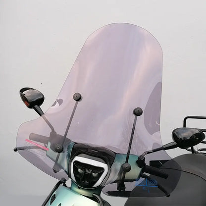 Hoog Smoke Windscherm voor Piaggio Zip