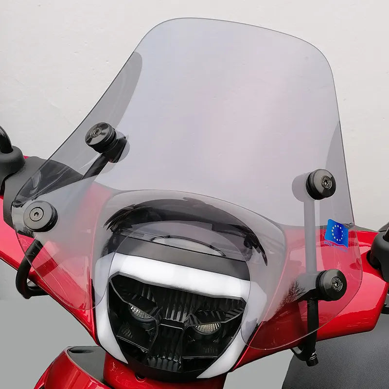 Laag Smoke Windscherm voor Piaggio Zip