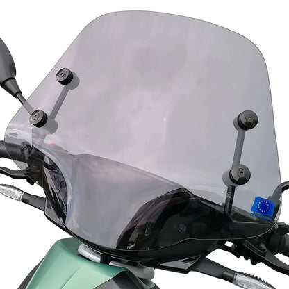 Niedrige Windschutzscheibe für den Piaggio 1 (One) Elektroroller – Rauchglas/Transparent/Schwarz