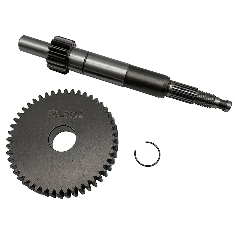 Malossi Primaire Vertanding - Sprint / Primavera - HTQ Z 14/48 - 6711602