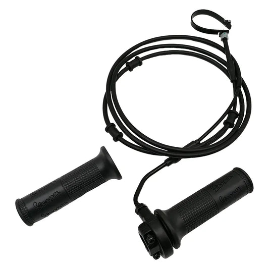 Originele Vespa Complete Gashendel set - Sprint en Primavera - Euro5 - CM087731