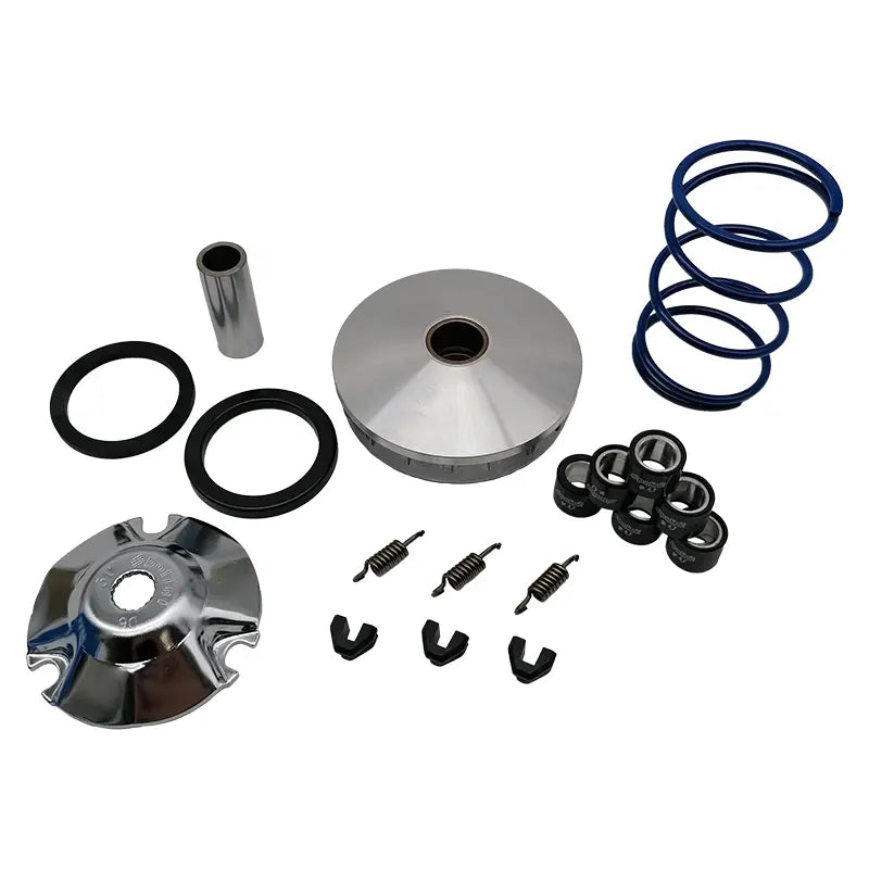 Variator Polini – Vespa/Piaggio 4-Takt- und 2-Takt-Motoren – 241.674