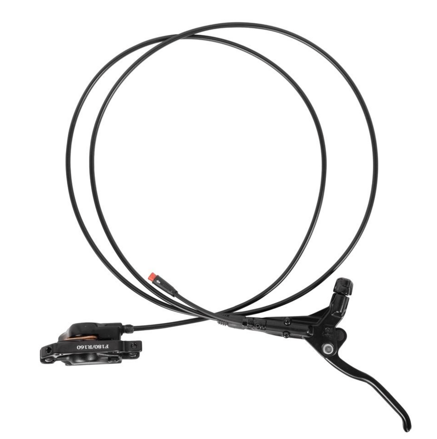 Disque de frein - Fatbike - Avant / Arrière - 6 trous - 160mm / 2.3mm - V8 / V20