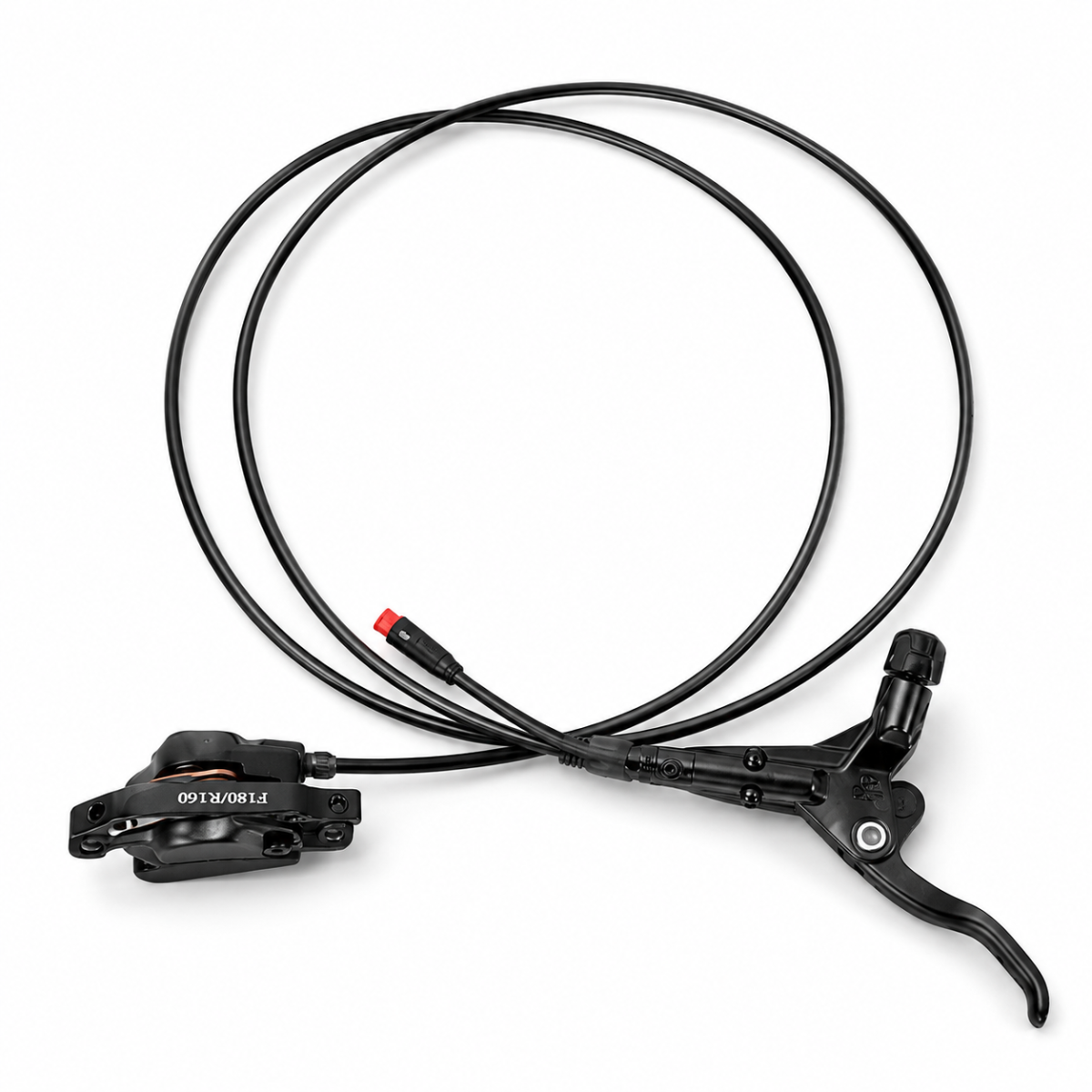 Bremsscheibe – Fatbike – Vorne/Hinten – 6-Loch – 160 mm / 2,3 mm – V8 / V20