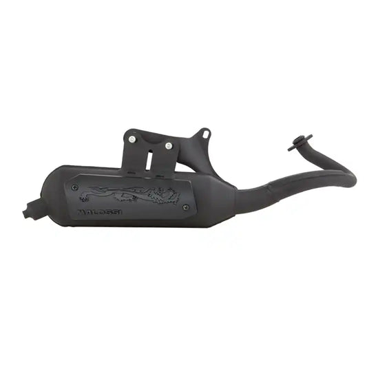 Uitlaat Malossi - WIld Lion - Vespa ET2 / LX / LXV/ Sprint / S / Primavera - 2-Takt - 50cc - 3216579