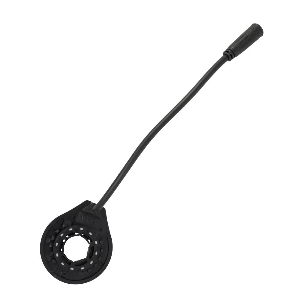 Bremsscheibe – Fatbike – Vorne/Hinten – 6-Loch – 160 mm / 2,3 mm – V8 / V20