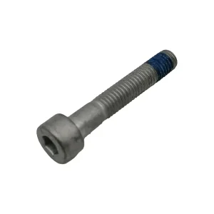 Originele Inbusbout - M5 x 30mm - Vespa / Piaggio / Gilera / Derbi / Aprilia - 1A003053